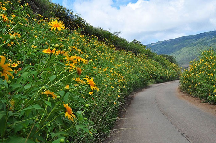 Nhung Diem Ngam Da Quy Dep O Da Lat 2